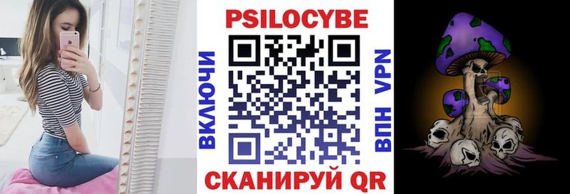 где найти   Казань  Псилоцибиновые грибы Magic Shrooms 