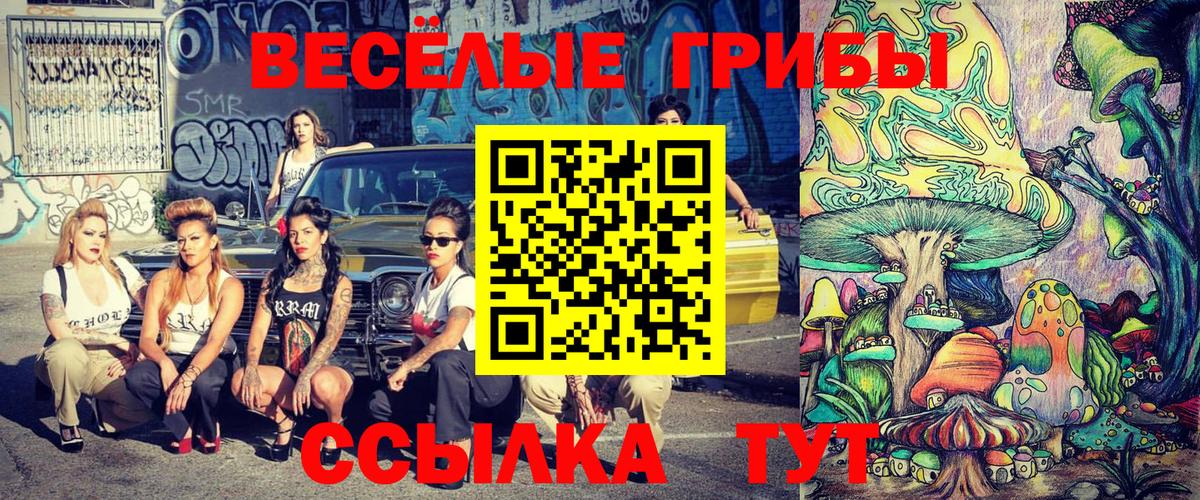 купить наркоту  Галлюциногенные грибы Cubensis  Вход с VPN  Казань  Псилоцибиновые грибы мицелий 