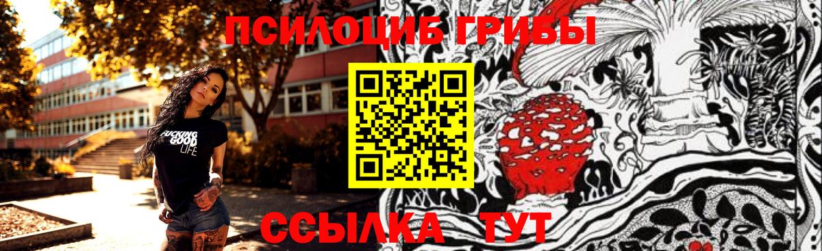 Псилоцибиновые грибы мицелий Казань